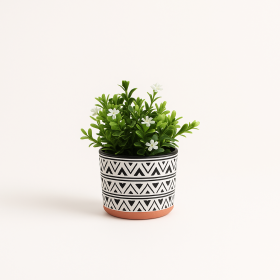 VASO C PLANTA MIX-MINIS 6C 9X9X20CM