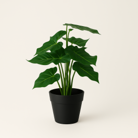 PLANTA PVC PP 20X20X30 PHILODENDRO VERDE - Image 2