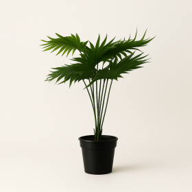 PLANTA PE PP 40X40X46 VERDE