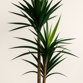 PLANTA EVA PP 80X150 PALMEIRA