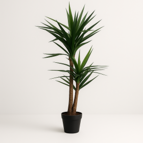 PLANTA EVA PP 80X150 PALMEIRA - Image 2
