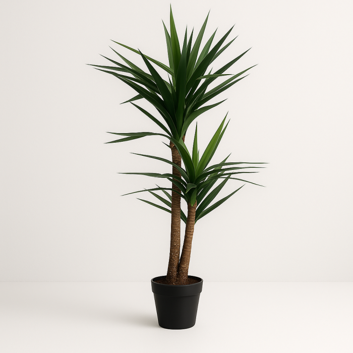 PLANTA EVA PP 80X150 PALMEIRA - Image 2